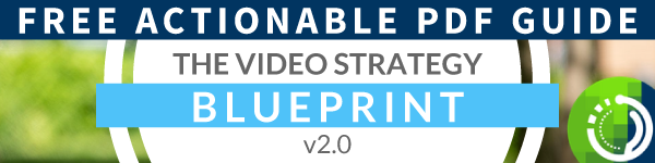 The-Video-Strategy-Blueprint-Inline